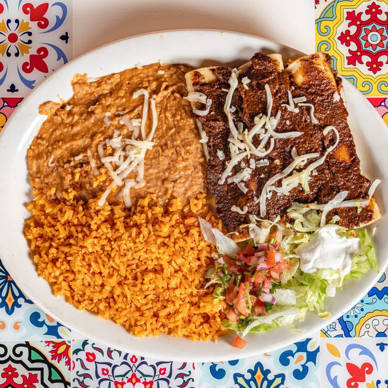 Discover Our Mole Dishes