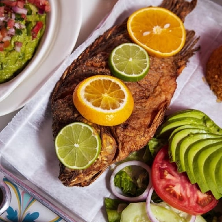 Savor Our Fish Dishes